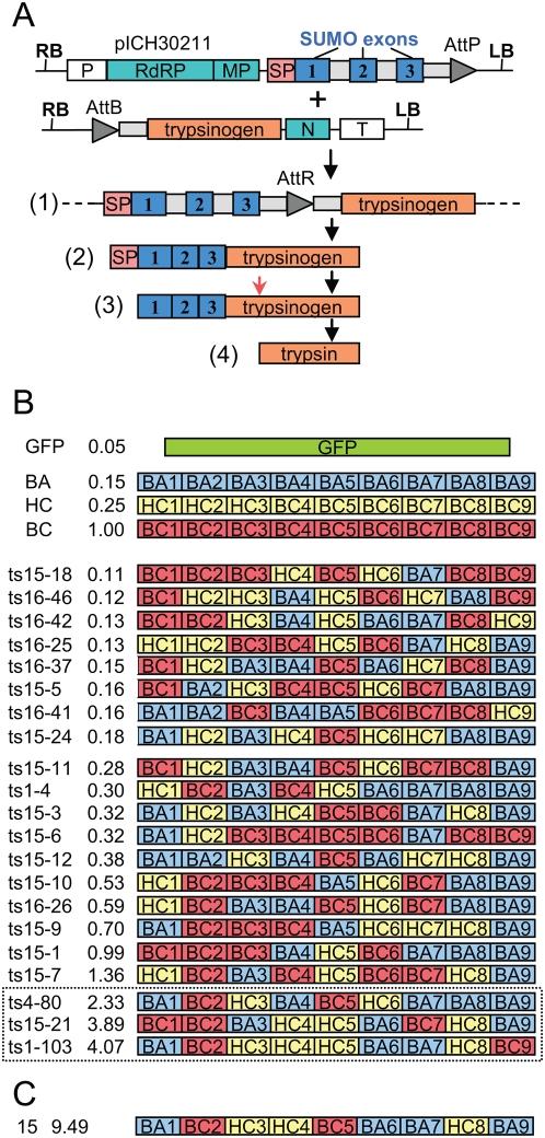 https://cdn.ncbi.nlm.nih.gov/pmc/blobs/a191/2677662/6b711d19b129/pone.0005553.g006.jpg