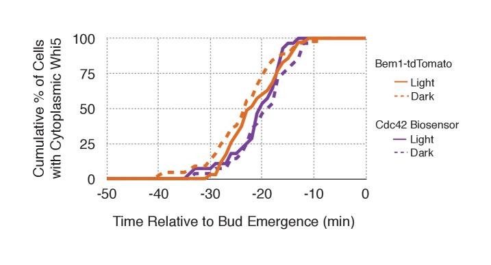 https://cdn.ncbi.nlm.nih.gov/pmc/blobs/a191/5536948/1c3e2b756d56/elife-26722-fig5-figsupp1.jpg