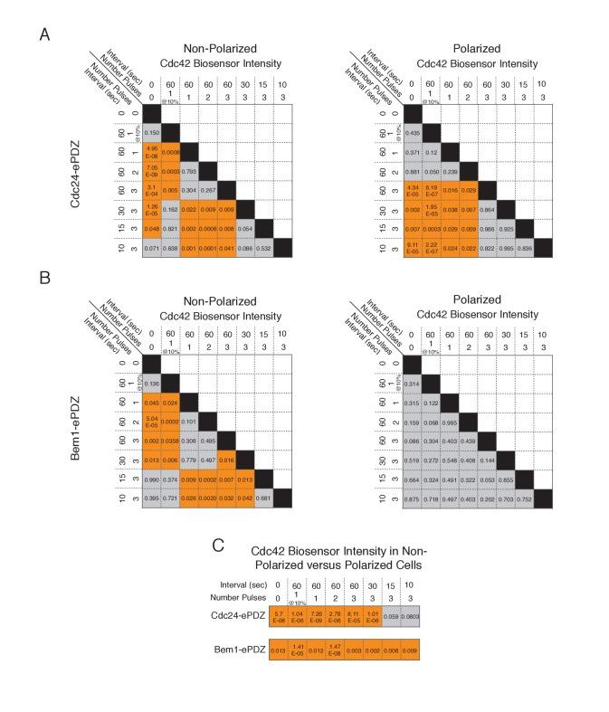 https://cdn.ncbi.nlm.nih.gov/pmc/blobs/a191/5536948/630fd84698f6/elife-26722-fig1-figsupp5.jpg