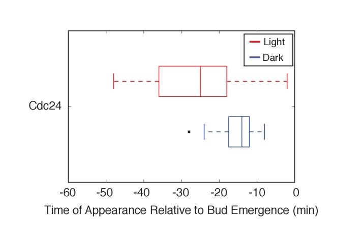 https://cdn.ncbi.nlm.nih.gov/pmc/blobs/a191/5536948/8ccd24319e04/elife-26722-fig6-figsupp1.jpg