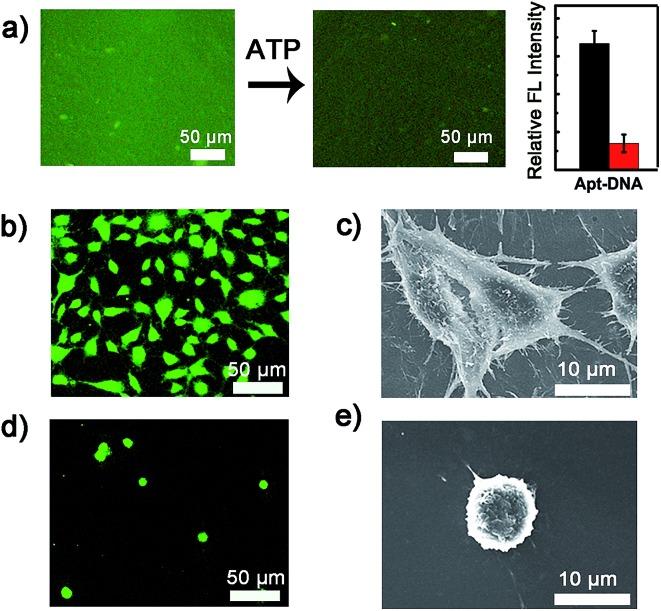 https://cdn.ncbi.nlm.nih.gov/pmc/blobs/a194/5508704/6bfe306a6f20/c5sc02565f-f2.jpg