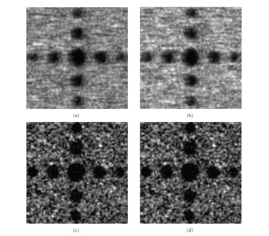 https://cdn.ncbi.nlm.nih.gov/pmc/blobs/a195/2276701/40b4324ed2c0/IJBI2008-274164.008.jpg