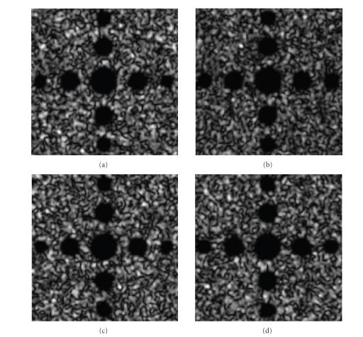 https://cdn.ncbi.nlm.nih.gov/pmc/blobs/a195/2276701/499d51ba3b4c/IJBI2008-274164.006.jpg