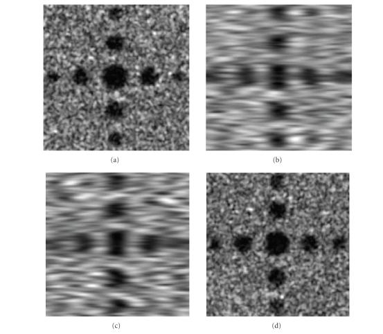 https://cdn.ncbi.nlm.nih.gov/pmc/blobs/a195/2276701/55ac189f482f/IJBI2008-274164.007.jpg