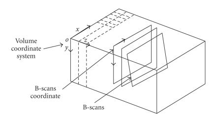 https://cdn.ncbi.nlm.nih.gov/pmc/blobs/a195/2276701/6650f6c14e62/IJBI2008-274164.001.jpg