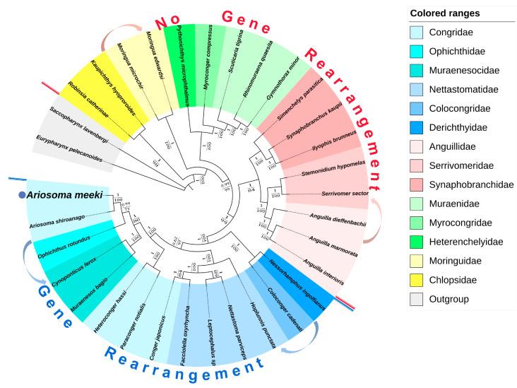 https://cdn.ncbi.nlm.nih.gov/pmc/blobs/a197/10044991/7481e40220c6/biology-12-00348-g008.jpg