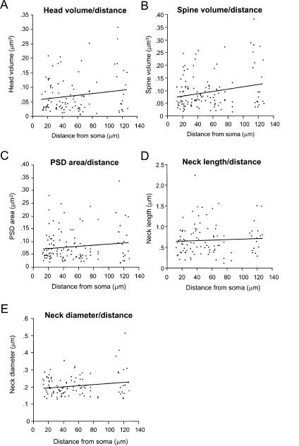 https://cdn.ncbi.nlm.nih.gov/pmc/blobs/a197/2518053/48f6ee0ce478/fnins-01-131-g007.jpg