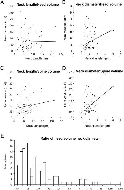 https://cdn.ncbi.nlm.nih.gov/pmc/blobs/a197/2518053/51f7aded5177/fnins-01-131-g006.jpg
