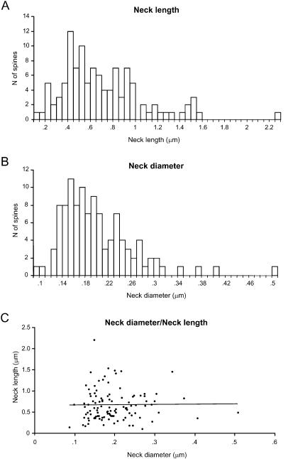 https://cdn.ncbi.nlm.nih.gov/pmc/blobs/a197/2518053/63312cb84d31/fnins-01-131-g004.jpg