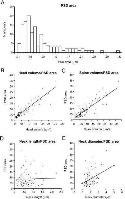https://cdn.ncbi.nlm.nih.gov/pmc/blobs/a197/2518053/e75b7e7b882e/fnins-01-131-g005.jpg