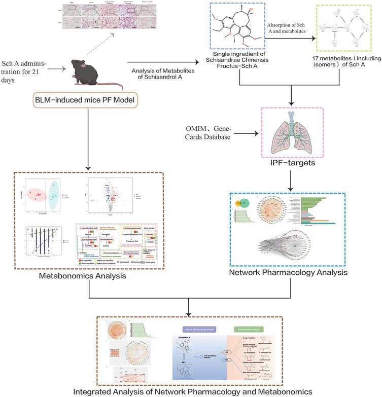 https://cdn.ncbi.nlm.nih.gov/pmc/blobs/a197/9939797/c21cd2e074ee/DDDT-17-477-g0001.jpg