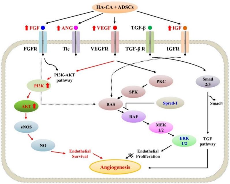 https://cdn.ncbi.nlm.nih.gov/pmc/blobs/a198/7961484/060b18db585f/ijms-22-02632-g006.jpg