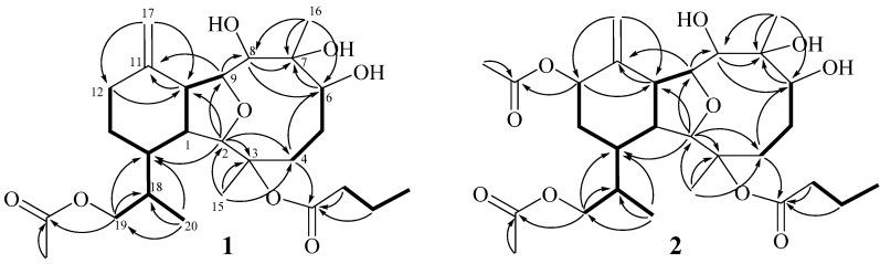 https://cdn.ncbi.nlm.nih.gov/pmc/blobs/a199/4284682/f5acaded368c/ijms-15-21865-g001.jpg