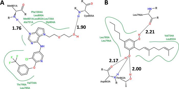 https://cdn.ncbi.nlm.nih.gov/pmc/blobs/a19b/11840771/f574dd31b6e7/ao4c11108_0004.jpg