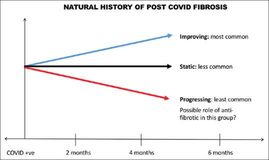 https://cdn.ncbi.nlm.nih.gov/pmc/blobs/a19b/8104338/f2606922671e/LI-38-41-g003.jpg