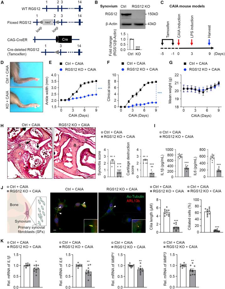 https://cdn.ncbi.nlm.nih.gov/pmc/blobs/a19b/9843488/d644de4ca30c/gr2.jpg
