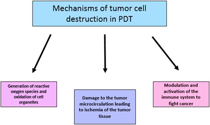 https://cdn.ncbi.nlm.nih.gov/pmc/blobs/a19c/10568033/14e7376f02d1/fphar-14-1250699-g004.jpg