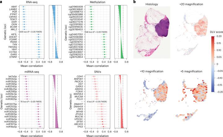 https://cdn.ncbi.nlm.nih.gov/pmc/blobs/a19c/12283373/5633af64cd99/42256_2025_1052_Fig3_HTML.jpg