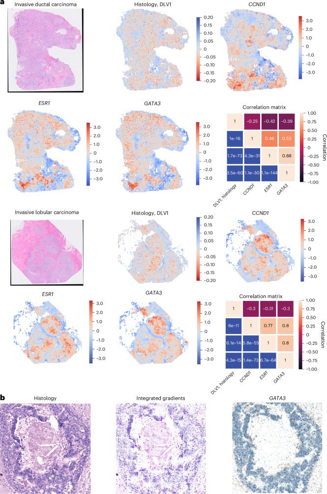 https://cdn.ncbi.nlm.nih.gov/pmc/blobs/a19c/12283373/e96aef9d67ba/42256_2025_1052_Fig5_HTML.jpg