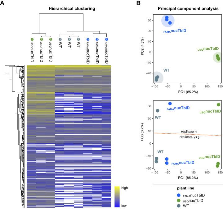 https://cdn.ncbi.nlm.nih.gov/pmc/blobs/a19c/6791687/198b5a074e51/elife-47864-fig6-figsupp1.jpg