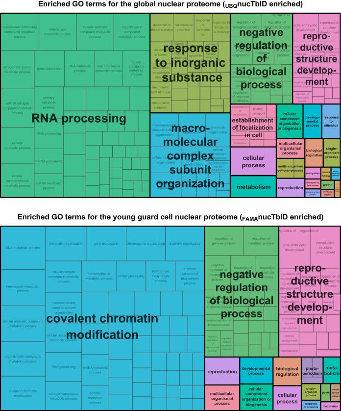 https://cdn.ncbi.nlm.nih.gov/pmc/blobs/a19c/6791687/b46d38d9a5ba/elife-47864-fig6-figsupp4.jpg
