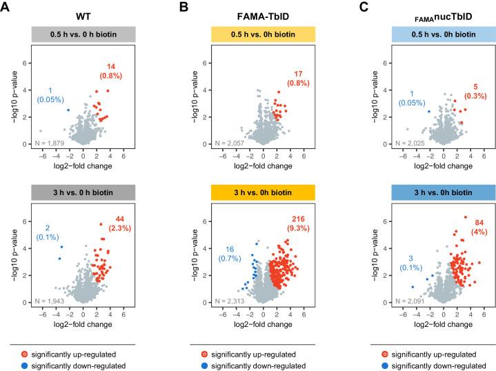 https://cdn.ncbi.nlm.nih.gov/pmc/blobs/a19c/6791687/e8d205b5cef8/elife-47864-fig5-figsupp6.jpg
