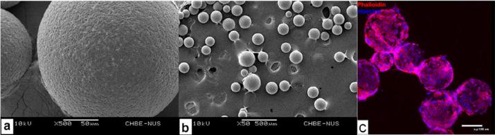 https://cdn.ncbi.nlm.nih.gov/pmc/blobs/a19d/8672356/d30d06e3a15f/ab1c00757_0014.jpg
