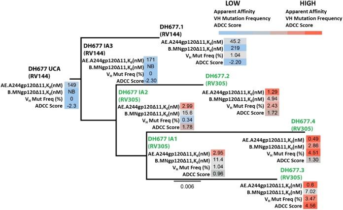 https://cdn.ncbi.nlm.nih.gov/pmc/blobs/a19e/6997759/367c679e550c/JVI.01120-19-f0002.jpg