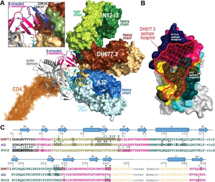 https://cdn.ncbi.nlm.nih.gov/pmc/blobs/a19e/6997759/87eb2f3873d4/JVI.01120-19-f0006.jpg