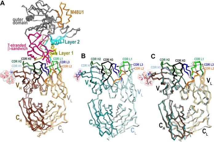 https://cdn.ncbi.nlm.nih.gov/pmc/blobs/a19e/6997759/9631e48cd998/JVI.01120-19-f0003.jpg