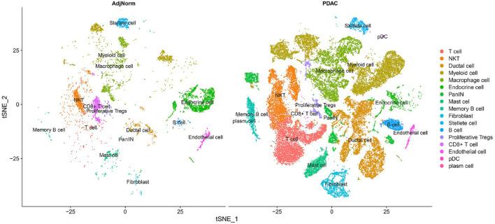 https://cdn.ncbi.nlm.nih.gov/pmc/blobs/a19f/10115972/a3e17894ea08/fgene-14-1029758-g003.jpg