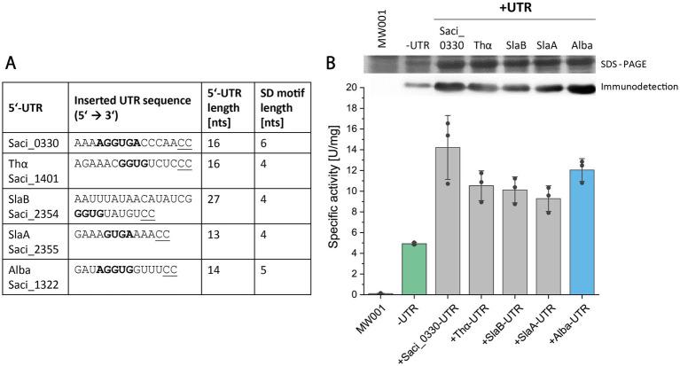 https://cdn.ncbi.nlm.nih.gov/pmc/blobs/a1a2/11627041/6efe610c3c22/fmicb-15-1443342-g004.jpg