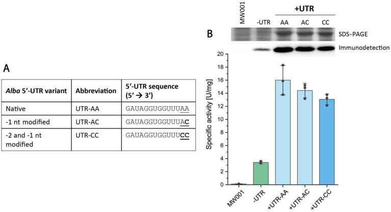 https://cdn.ncbi.nlm.nih.gov/pmc/blobs/a1a2/11627041/b9a19b6e7212/fmicb-15-1443342-g003.jpg