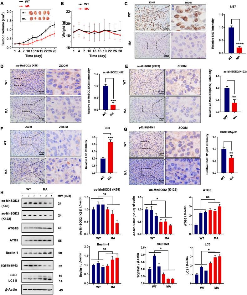 https://cdn.ncbi.nlm.nih.gov/pmc/blobs/a1a2/8148052/3aa0dc033b1f/gr11.jpg