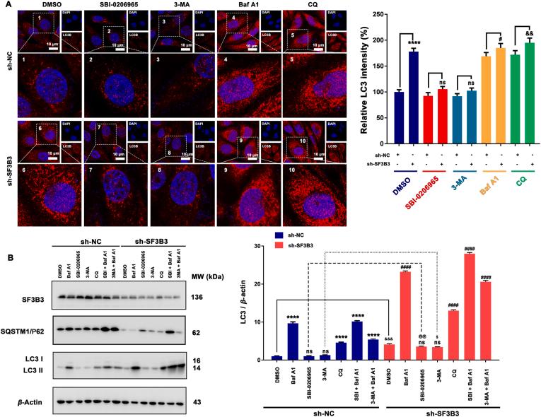 https://cdn.ncbi.nlm.nih.gov/pmc/blobs/a1a2/8148052/3faca902a435/gr5.jpg