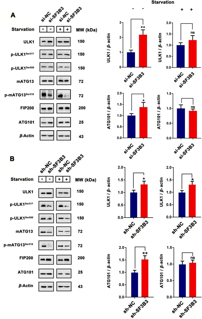 https://cdn.ncbi.nlm.nih.gov/pmc/blobs/a1a2/8148052/aa066eb52b5c/gr4.jpg