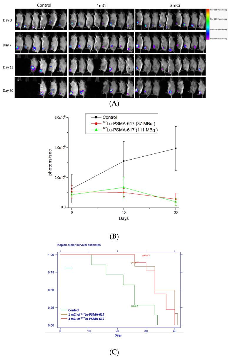 https://cdn.ncbi.nlm.nih.gov/pmc/blobs/a1a3/12250129/271c6174582d/ijms-26-05970-g006.jpg