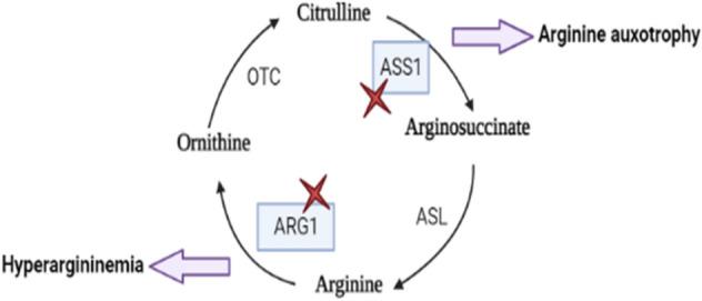 https://cdn.ncbi.nlm.nih.gov/pmc/blobs/a1a3/9452612/bf7b06d858b2/13205_2022_3326_Fig3_HTML.jpg