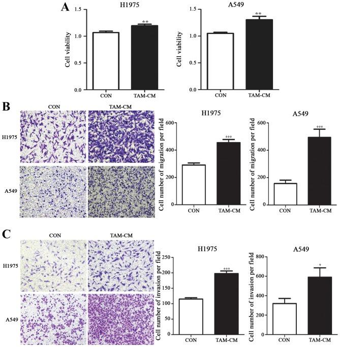https://cdn.ncbi.nlm.nih.gov/pmc/blobs/a1a4/5467788/33cc42ac9a2e/IJO-51-01-0025-g01.jpg