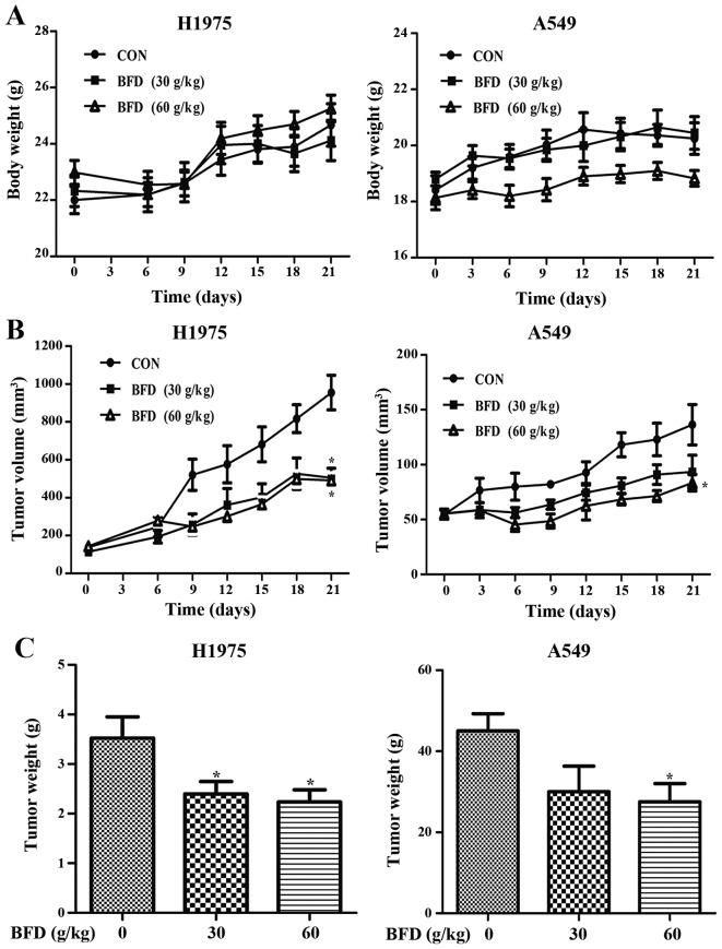 https://cdn.ncbi.nlm.nih.gov/pmc/blobs/a1a4/5467788/c5e70148f89b/IJO-51-01-0025-g05.jpg