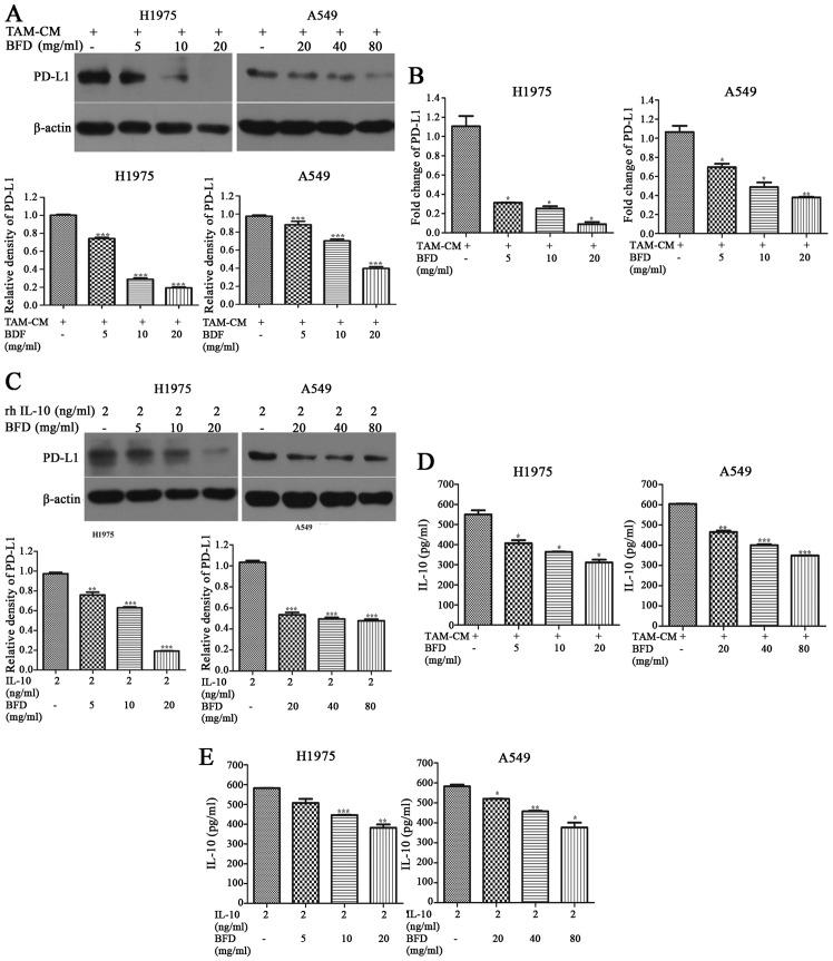 https://cdn.ncbi.nlm.nih.gov/pmc/blobs/a1a4/5467788/e4c695340888/IJO-51-01-0025-g04.jpg