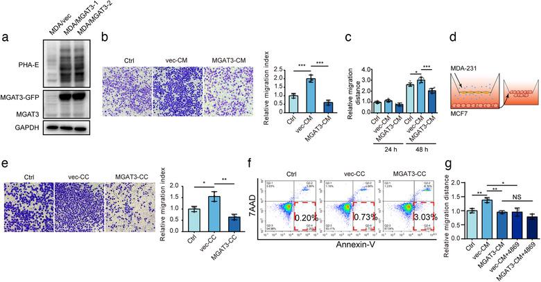 https://cdn.ncbi.nlm.nih.gov/pmc/blobs/a1a4/7710122/490d87b59e84/JEV2-10-e12005-g002.jpg
