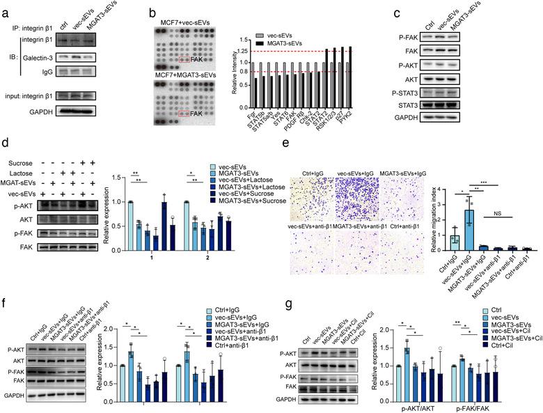 https://cdn.ncbi.nlm.nih.gov/pmc/blobs/a1a4/7710122/510a11b5da54/JEV2-10-e12005-g006.jpg