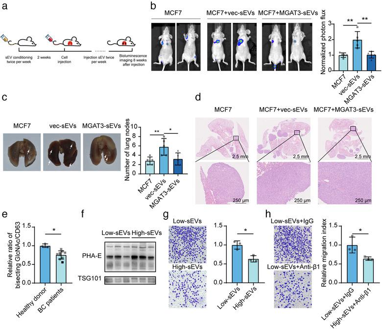 https://cdn.ncbi.nlm.nih.gov/pmc/blobs/a1a4/7710122/7650e8a9aa09/JEV2-10-e12005-g007.jpg