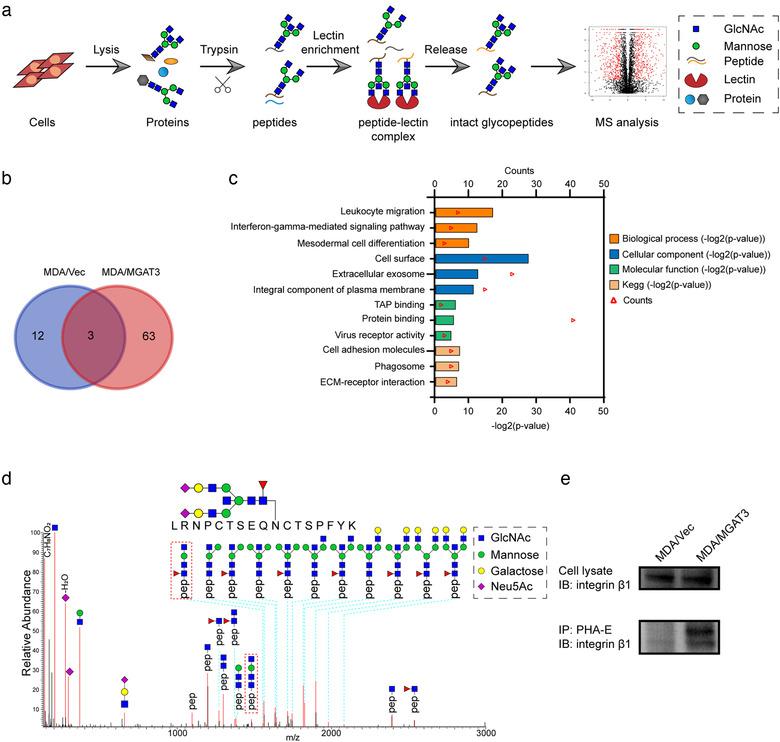 https://cdn.ncbi.nlm.nih.gov/pmc/blobs/a1a4/7710122/7c43539858e5/JEV2-10-e12005-g004.jpg