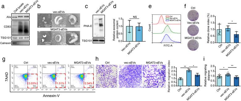 https://cdn.ncbi.nlm.nih.gov/pmc/blobs/a1a4/7710122/c76d9737861f/JEV2-10-e12005-g003.jpg