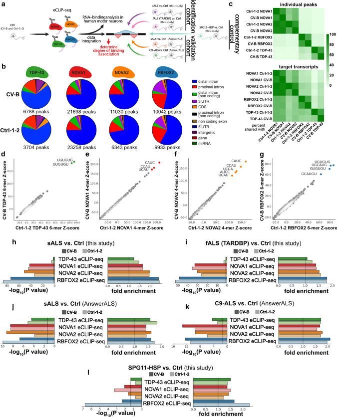 https://cdn.ncbi.nlm.nih.gov/pmc/blobs/a1a6/9381448/1dc3e11dc215/401_2022_2450_Fig2_HTML.jpg