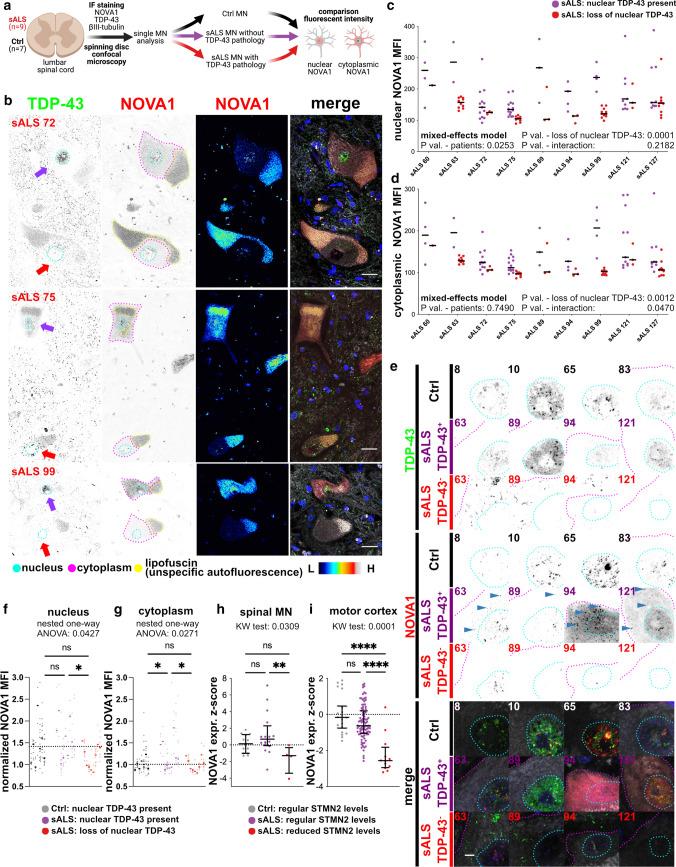https://cdn.ncbi.nlm.nih.gov/pmc/blobs/a1a6/9381448/ceb39d712761/401_2022_2450_Fig6_HTML.jpg