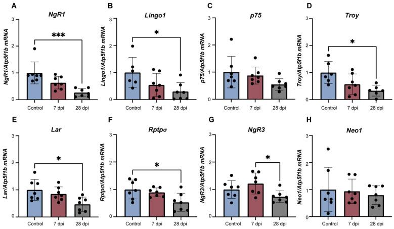 https://cdn.ncbi.nlm.nih.gov/pmc/blobs/a1a9/9368817/eaa56e2f1a51/ijms-23-08667-g004.jpg