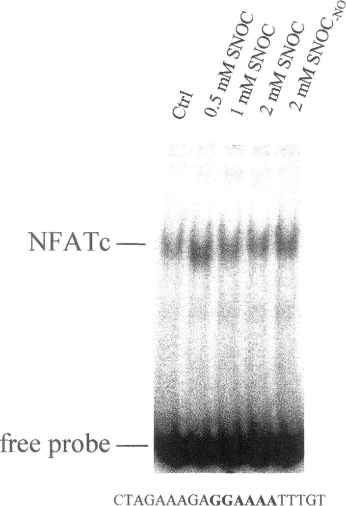 https://cdn.ncbi.nlm.nih.gov/pmc/blobs/a1aa/2230482/82cfd7f16c8a/molmed00011-0026-a.jpg